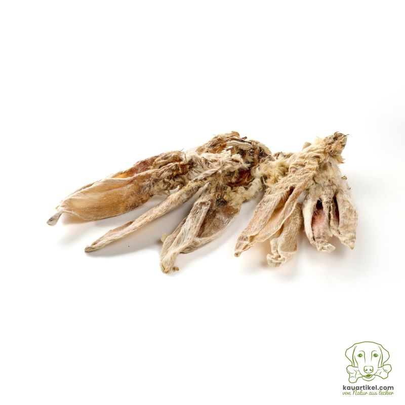 Orecchie di Coniglio con pelo