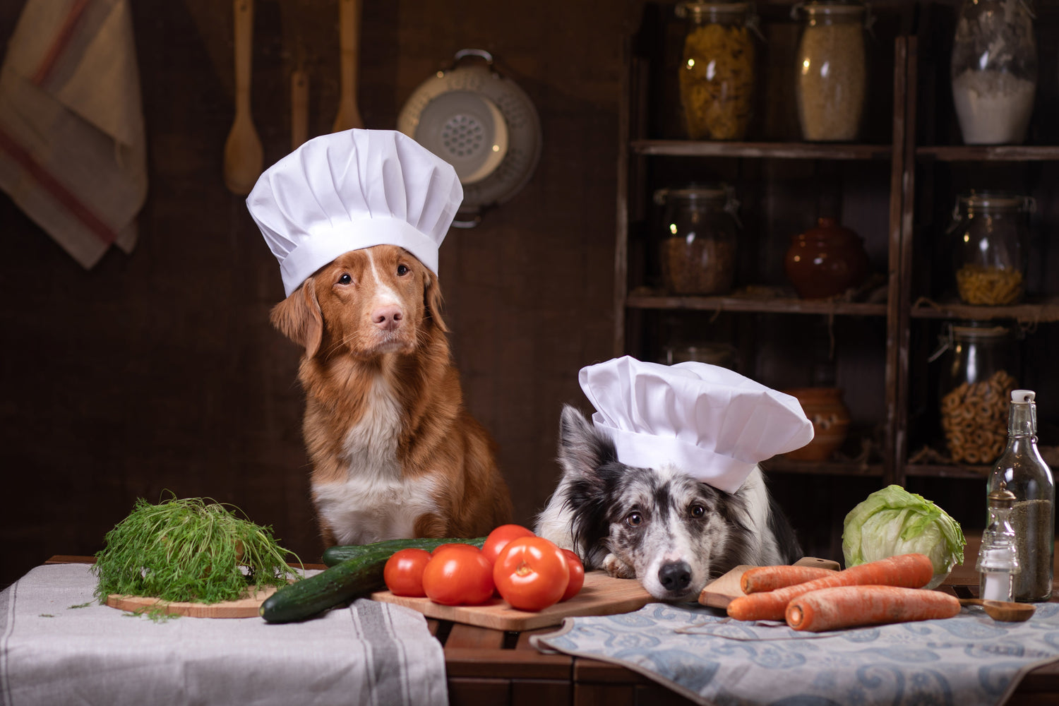 Menù per cani