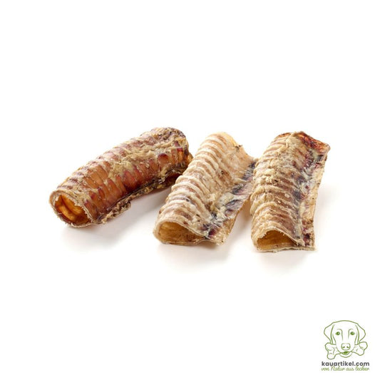 Trachea di Manzo
